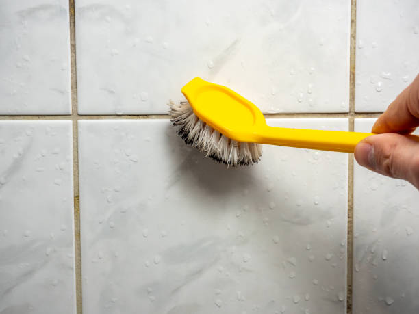 Best Certified Mold Removal  in Fort Drum, NY