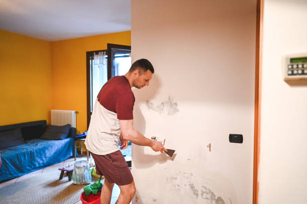 Best Mold Removal Near Me  in Fort Drum, NY